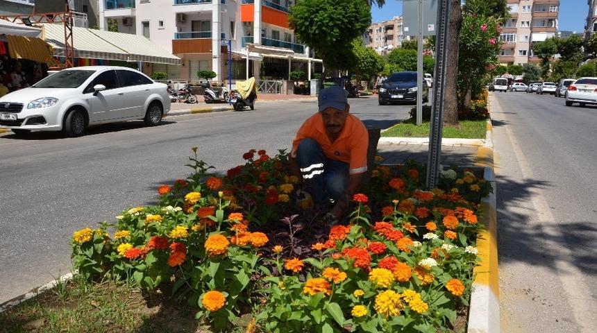 Alanya’ya 200 bin adet yazlık çiçek