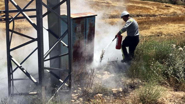 Akıma kapılan saksağan, yangına neden oldu