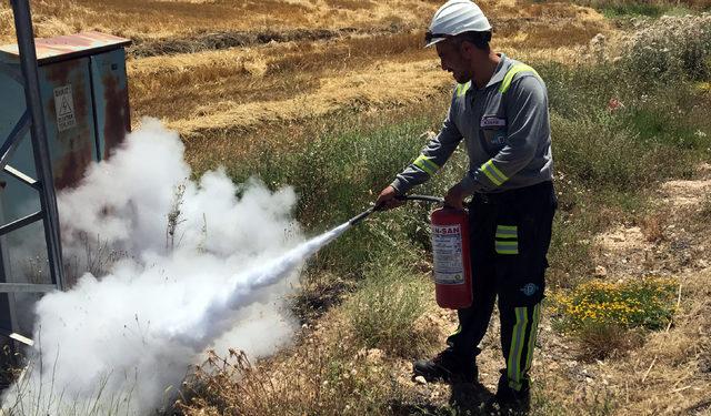 Akıma kapılan saksağan, yangına neden oldu