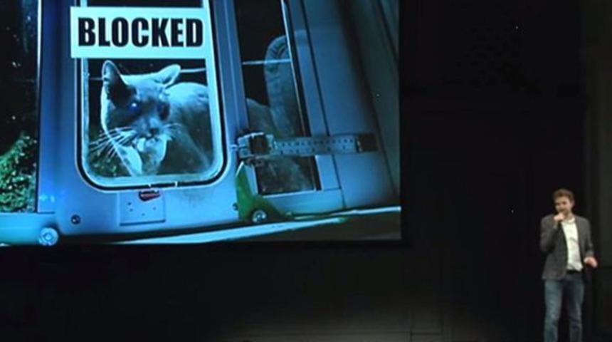 Mutlu kedi eve ölü fare getirir