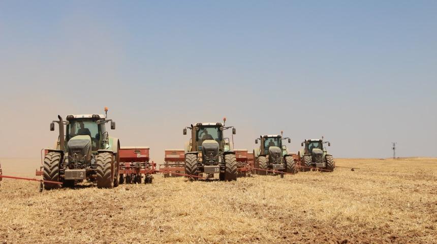 Ceylanpınar'da 110 bin dekarlık alanda mısır ekimi başladı