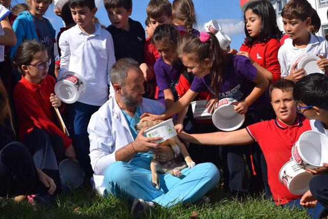 Binlerce sokak hayvanı sağlığına kavuşturuldu