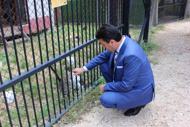 Binlerce sokak hayvanı sağlığına kavuşturuldu