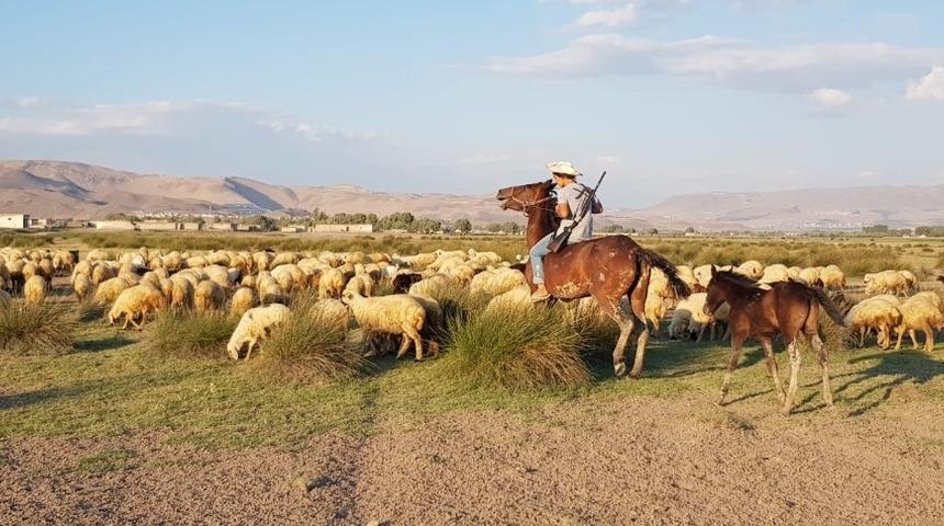(&Ouml;zel) Orta Asya&rsquo;nın bozkırları değil, Erciyes Dağı&rsquo;nın etekleri