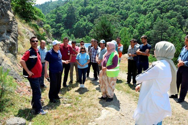 Tıbbi bitki toplama eğitimleri başladı