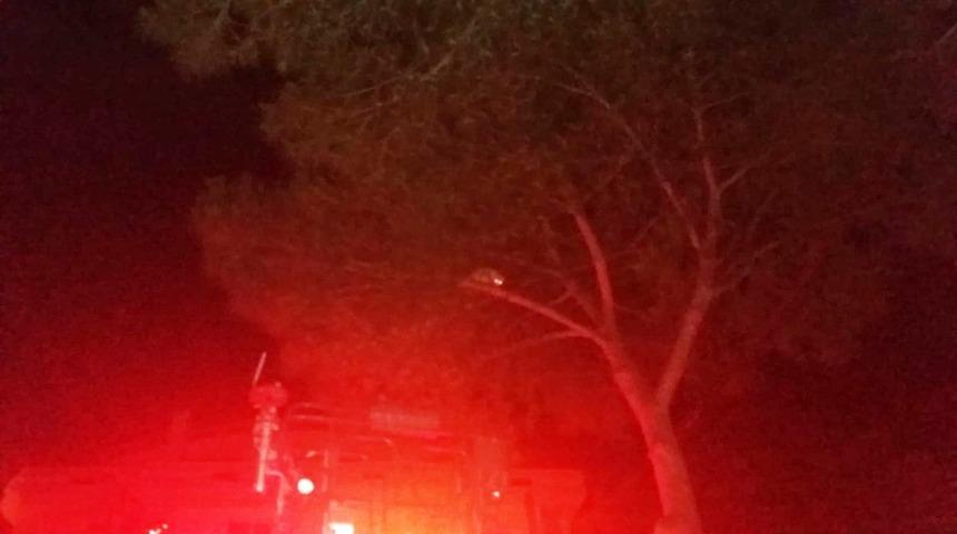 Burhaniye&rsquo;de ağa&ccedil;ta mahsur kalan kediyi itfaiye kurtardı