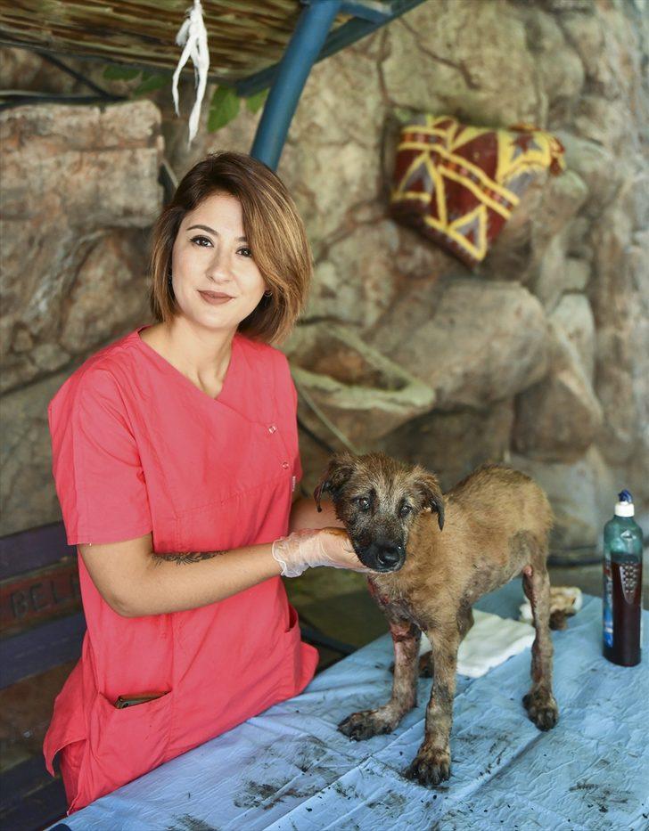 Canını kurtarmak isterken asfalta yapıştı! G5