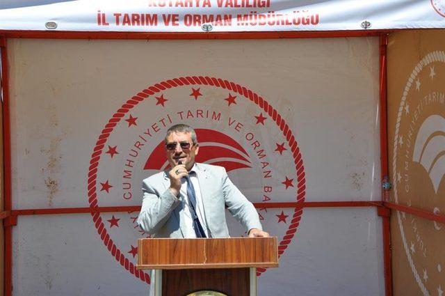 Müdür Vekili Mustafa Kurt: Kütahya’da 50 bin hektar nadas alanı var