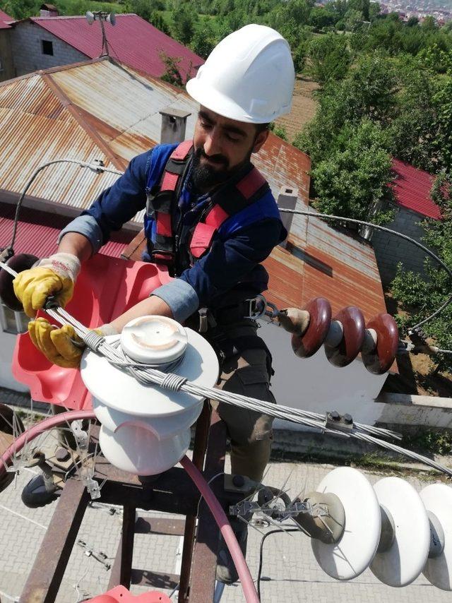 VEDAŞ’tan doğal hayata katkı çalışması