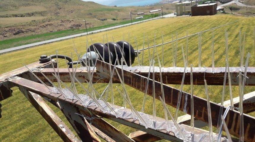 VEDAŞ&rsquo;tan doğal hayata katkı &ccedil;alışması