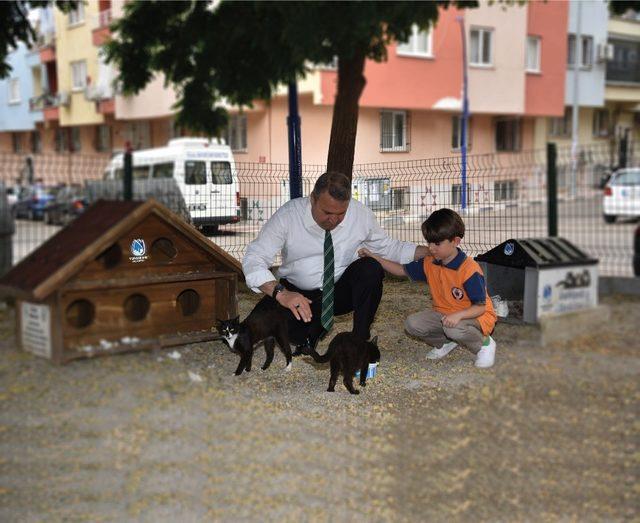 Yunusemre yaz aylarında sokak hayvanlarını unutmadı