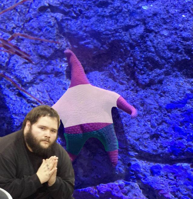 patrick-starfish-photoshop-battle-5d1b013ba2975__700