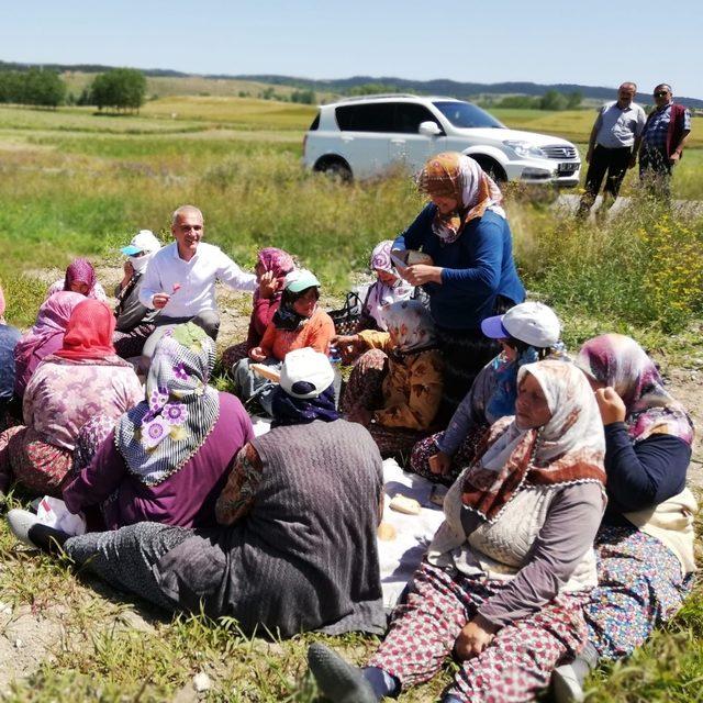 Başkan Altıkulaç, hayvanlardan kan alımı çalışmalarına katıldı