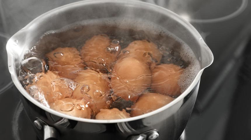  Efsane değil ger&ccedil;ek! Haşladığınız yumurtanın suyunu bitkilerinize d&ouml;k&uuml;n