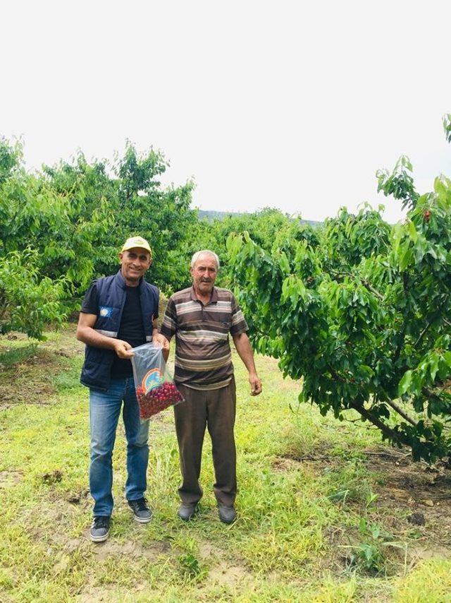 Salihli’de gıdalar sofraya gelmeden tarlada denetleniyor