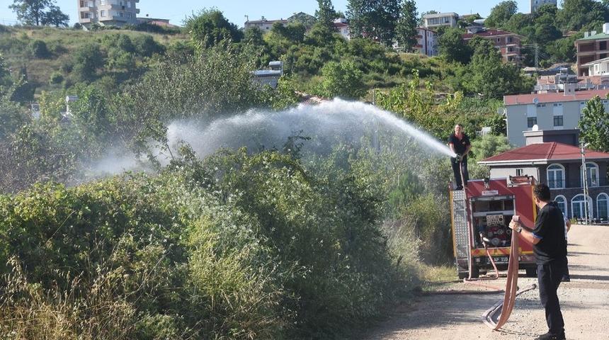 Sinop’ta ot yangını