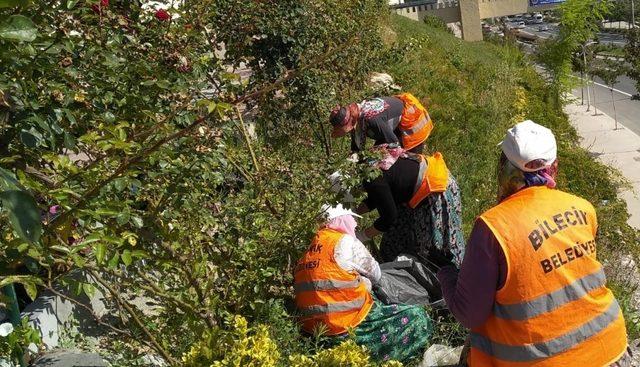 Bilecik Belediyesi tarafından kapsamlı ot temizliği