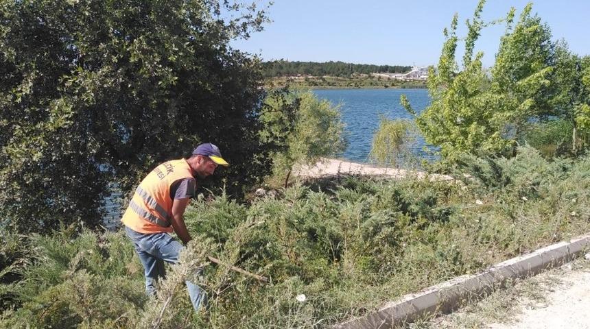 Bilecik Belediyesi tarafından kapsamlı ot temizliği