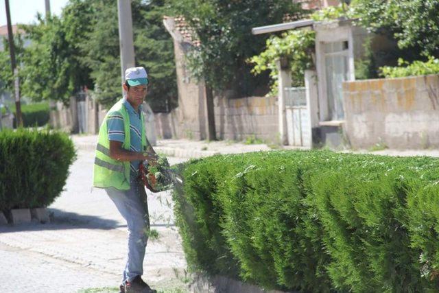 Şuhut Belediyesi çevre düzenleme çalışmalarına devam ediyor