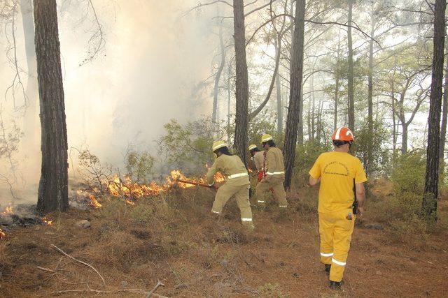 Muğla’da 556 mevsimlik işçi işten çıkarılma riski ile karşı karşıya