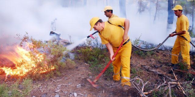 Muğla’da 556 mevsimlik işçi işten çıkarılma riski ile karşı karşıya