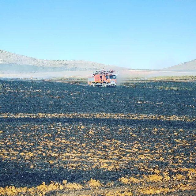 10 dönümlük arpa tarlası, yangında kül oldu