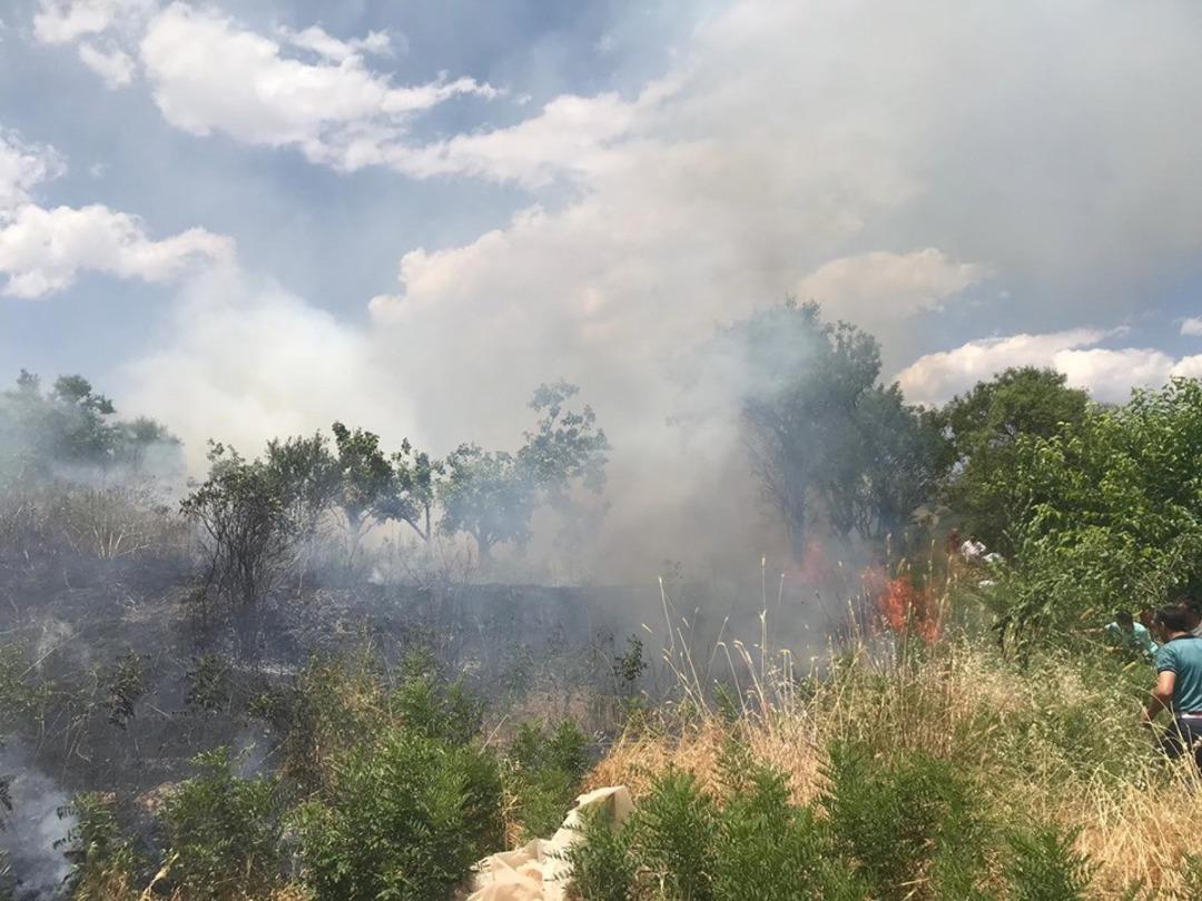 Fıstık bah&ccedil;elerine sı&ccedil;rayan yangın bir &ccedil;ok ağacın yanmasına neden oldu