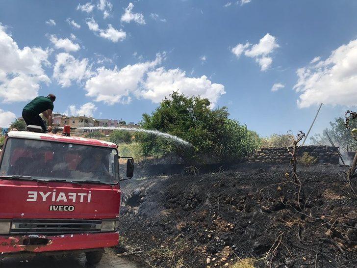 Fıstık bahçelerine sıçrayan yangın bir çok ağacın yanmasına neden oldu G2