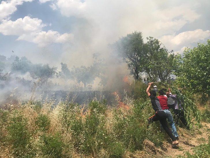 Fıstık bahçelerine sıçrayan yangın bir çok ağacın yanmasına neden oldu G3