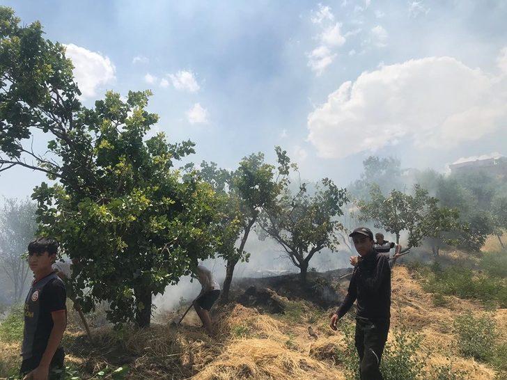 Fıstık bahçelerine sıçrayan yangın bir çok ağacın yanmasına neden oldu G4