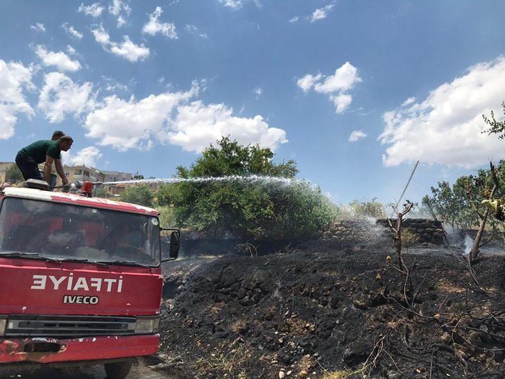 Fıstık bahçelerine sıçrayan yangın bir çok ağacın yanmasına neden oldu G5