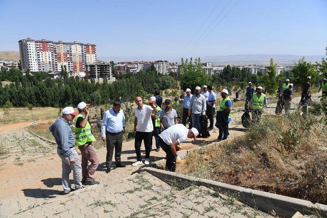 Başkan Asya, mezarlıklardaki temizlik çalışmalarını inceledi