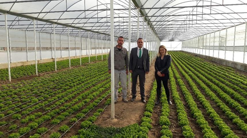 K&ouml;yden kente g&ouml;&ccedil;&uuml; azaltma projelerine devlet desteği