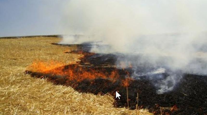 Anız yakanlara idari para cezası