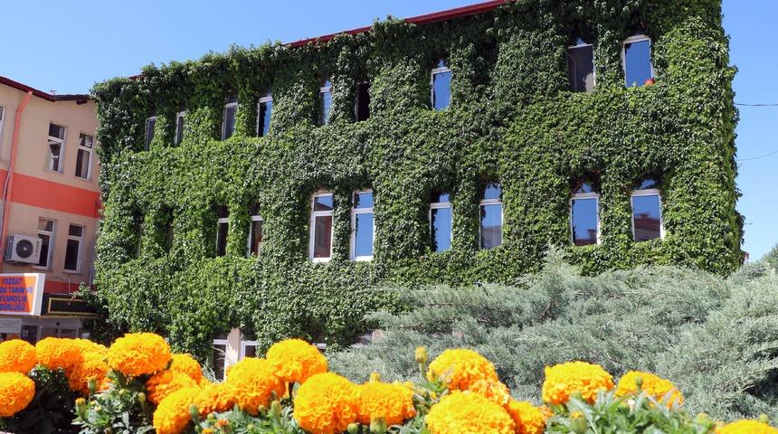 Sarmaşıklarla kaplı bina hayran bırakıyor