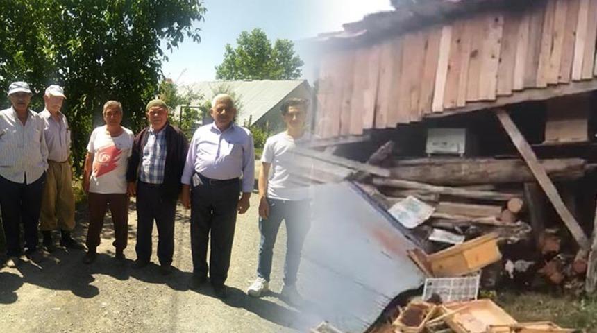 Kastamonu'da aç kalan ayılar arı kovanlarına dadandı
