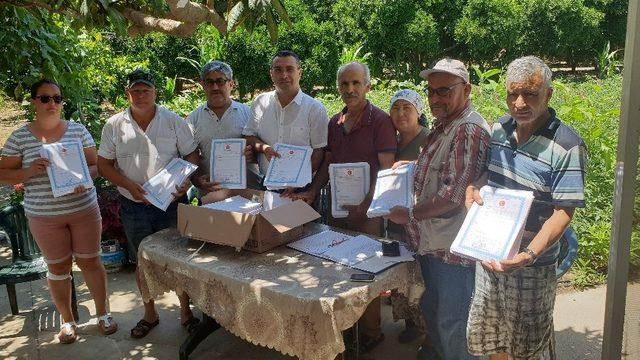 30 yıl sonra tapularına kavuştular