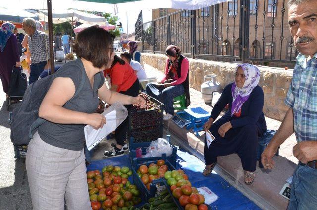 Tarım Müdürlüğü Meyve üreticilerine Akdeniz Sineğini anlattı