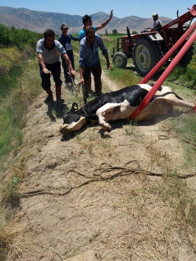 Su kanalına düşen inek itfaiye ekiplerince kurtarıldı