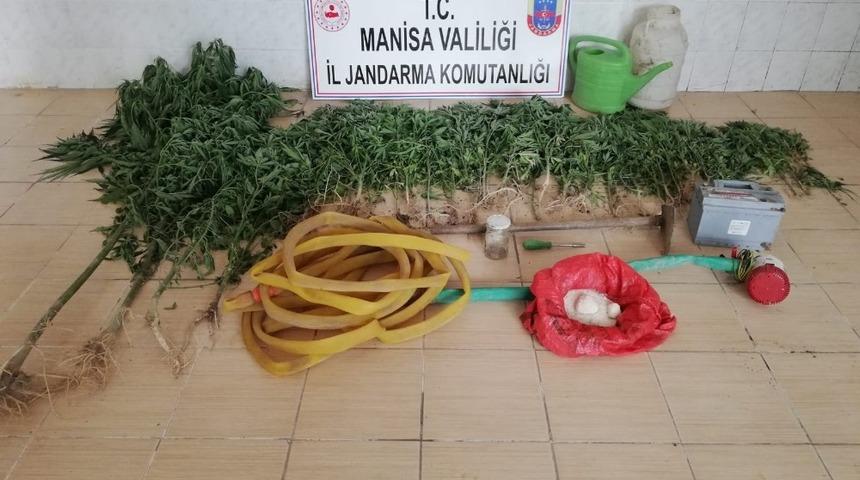 Kenevirleri sularken su&ccedil;&uuml;st&uuml; yakalandı