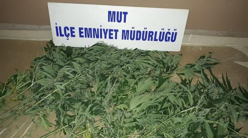 Polis ve Jandarma ekipleri uyuşturucu tacirlerine ve hırsızlara g&ouml;z a&ccedil;tırmıyor