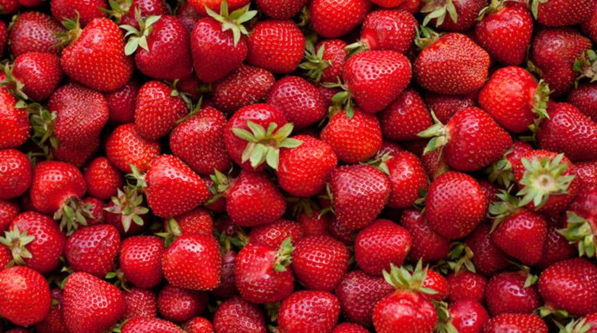 Çöpe gitmesinler: Çileklerin çürümesini önleyen en etkili yöntem