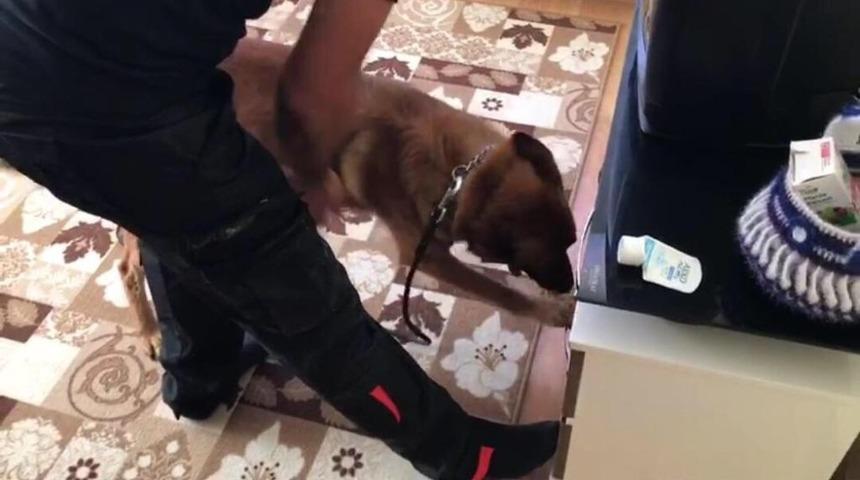 Helyus&rsquo;tan tam isabet