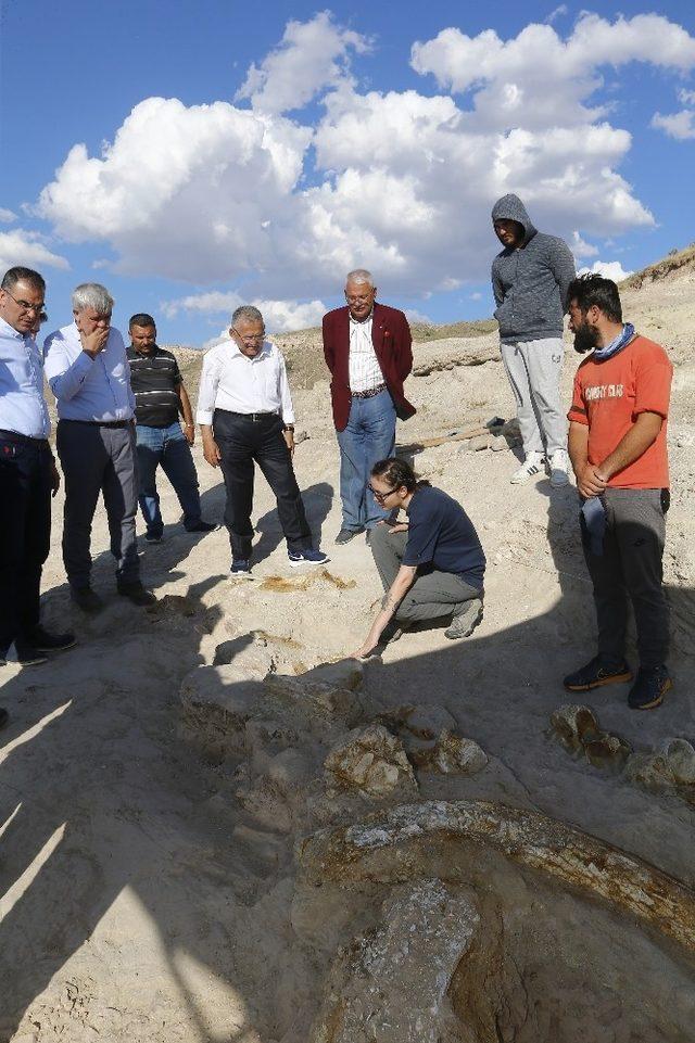 Kayseri, Doğa Tarihinin De Merkezi