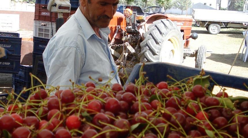 Belediye başkanlarından vişne fiyatına tepki