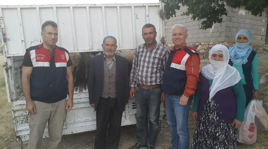 Hayvan hırsızları jandarmadan ka&ccedil;amadı