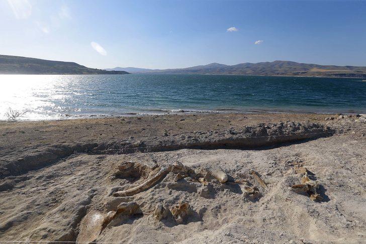 Kayseri'de 7,5 milyon yıllık fosiller bulundu! G4