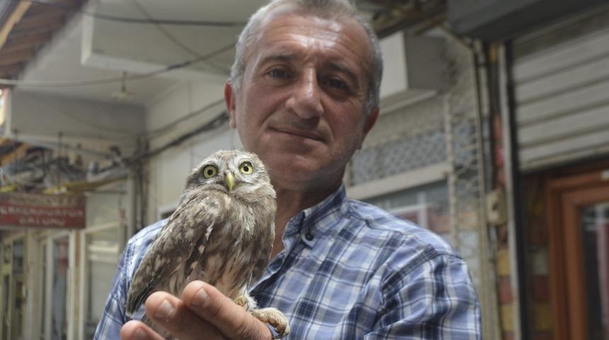 Sokakta bulduğu yavru baykuşu yetkililere teslim etti