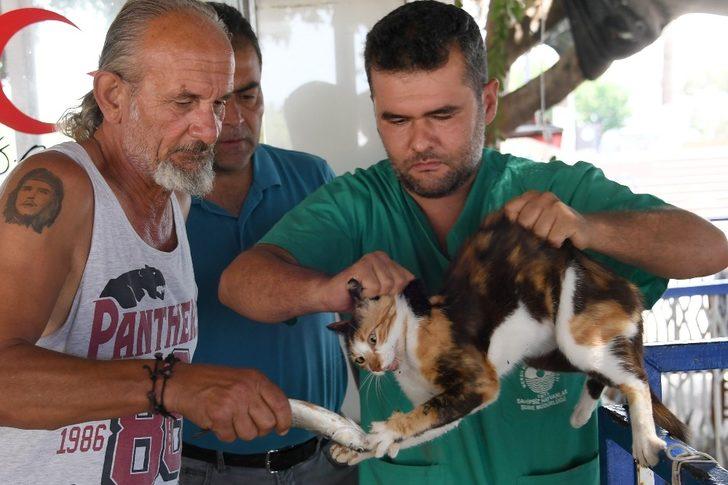 Balık sevdası başına dert açtı G2