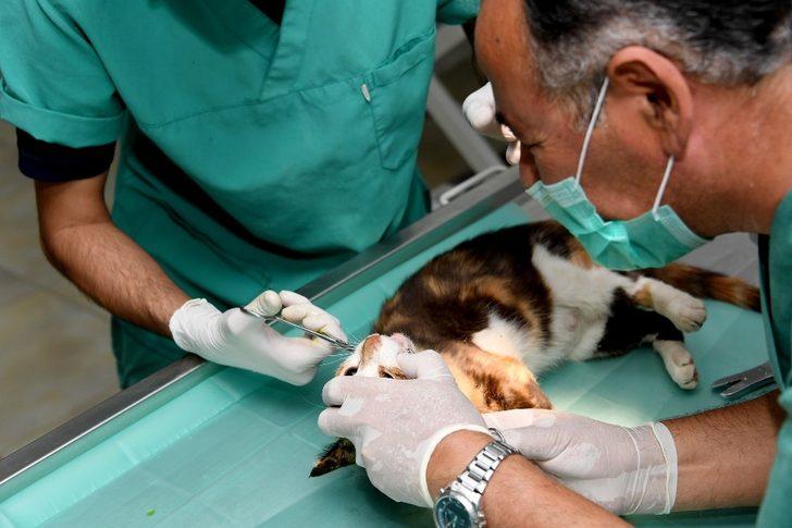 Balık sevdası başına dert açtı G4